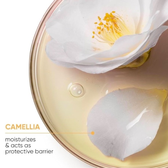 BIOLAGE Smoothproof Shampoo and Conditioner Duo Hair Care Bundle For Frizzy Hair - Picture 6 of 9